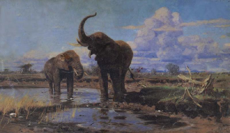 unknow artist Elephant China oil painting art
